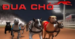 Tham Gia Đua Chó Tại KING88: Bí Kíp Thắng Lớn Trong Từng Ván